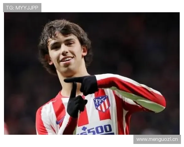 从天才新星到争议人物：菲利克斯的荣誉与责任